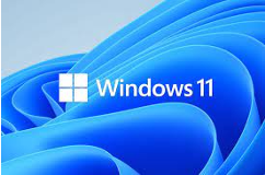 Icon of the Windows 11 logo on a blue background